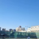 스플릿테니스장