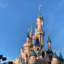 도그판타지 | 파리 디즈니랜드 1일 2파크 후기 (파리 디즈니랜드 어트랙션 추천, 일루미네이션 명당, 추천 동선)