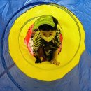 새울산유치원 이미지