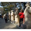 복영양탕 이미지