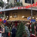 아이메디케어 | 11월의 하노이 일상, Christmas is coming.