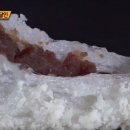 순천찹쌀떡 - 순천시 장선배기길 158 | 순천찹쌀떡