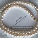 하이메드 이미지