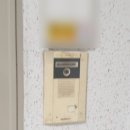 동성비디오 이미지