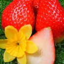 킹스베리 이미지