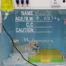 본오365동물병원 이미지