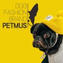 귀욤하개 이미지