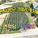 의암리 이미지