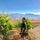어라우즈 브런치
