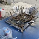 고성농협파머스마켓 | 강원도 고성 가볼만한 곳, 간성오일장 (2일, 7일), 주차정보, 오일장 먹거리