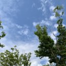 덕천파니니브런치카페 이미지