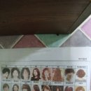 친환경 엘샤론