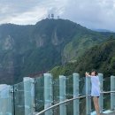 태하 모노레일 이미지