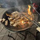쥬라기카라반 | [강화 여행 추천] 강화도 쥬라기 카라반 방문 후기🦖