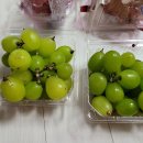 세븐일레븐일산주엽뉴서울프라자점 이미지