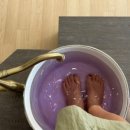 봄날테라피 이미지