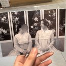 전라감영 화장실 | 전주 한옥마을 한복체험 대여 비빔한복 경기전 전라감영에서 인생샷