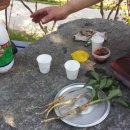 푸른샘농장 이미지