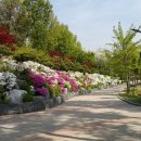 초안산 창골축구장 티스토리