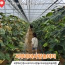 로컬푸드 길음마을 이미지