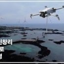 제주도 서쪽 가볼만한곳 제주 산양큰엉곶 곶자왈 숲길 이미지