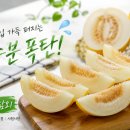 비타민과일촌 | [2026 최신] 벌써 30도? 일찍 시작된 더위에 매일 '참외' 먹고 체감한 솔직 효능 후기