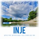 인제시장 | 여행] 속초 1박 2일 - 2일 차 청초수물회 본점, 속초중앙시장 맛집, 인제 백담계곡, 38카페 내돈내산 후기