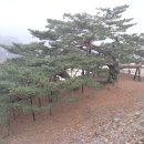 수원산(水源山710m)320회 정기산행 (28회 산신제) 이미지