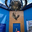 송강미술관 | 안동 문화 여행 코스🎨, 송강미술관 &amp; 안동문학관 다녀온 후기