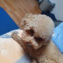 리얼클린족욕(양산점) 이미지