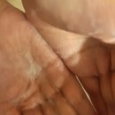 에무나 | 모아만에무나 플러스 샴푸 일주일 사용 후기 (탈모 증상 완화, 손상모 케어, 두피스케일링) + 늘보이즈백