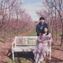 매화농장 이미지