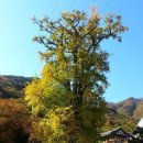 용문산