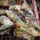 2024 천북 굴축제 이미지