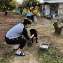 퍼펙트바이트 이미지