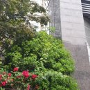 연산자이공인중개사사무소 이미지