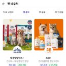 몬스터펫 | 네이버 펫바우처 할인받고 정글몬스터 강아지칫솔 풉백 저렴하게 구매한 후기