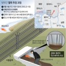 200729 '문재인을 파면한다'… 들끓는 부동산 민심 이미지