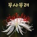 멋진하루 이미지