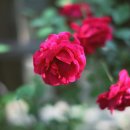 산아래민박 이미지