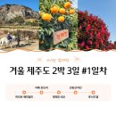 애원목장 | 제주 공항 근처 아이랑 갈만한 곳 하리보 해피월드 어른,아이 모두의 동심을 사로잡는 제주 실내 가볼만...