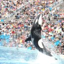 씨~월드 이미지