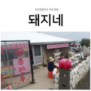 우도 맛집, 이색적인 우도 땅콩 만두가 있는 돼지네!