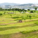 양평파크골프장 이미지