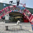 이천 마장 충전소 이미지