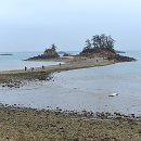 무녀2구마을버스 이미지