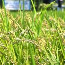 함줄공원 이미지