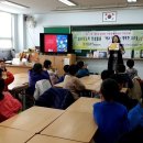 숲속초등학교 이미지