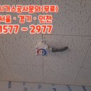 (주)엘마트 - 옥천군 | (주)엘마트