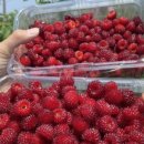 담산농장 이미지